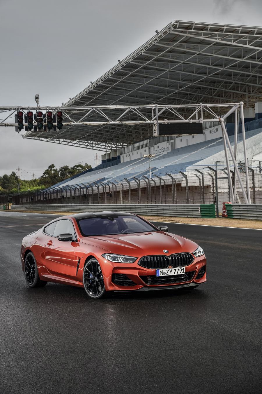  BMW M850i xDrive Carbon Package (G15) 2018 года  (WW) (фото 41 из 287)